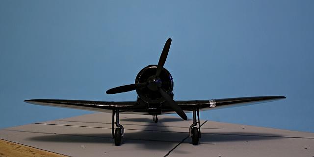 Blackhawk PZL-P 50a 10