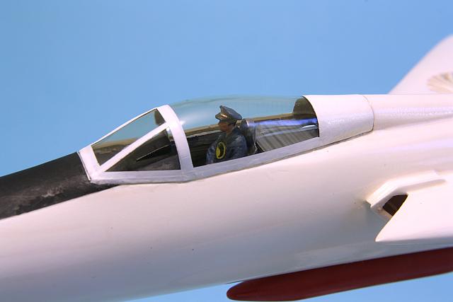 Blackhawk F-105 16
