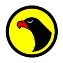 hawk 50