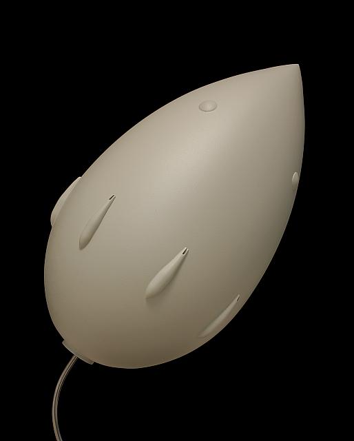 Sisu 17