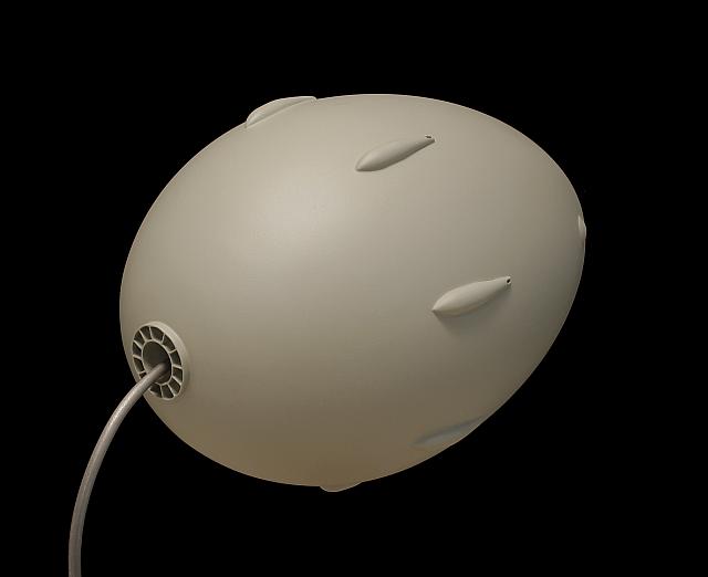 Sisu 19