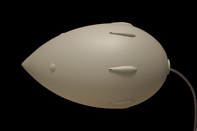 Sisu 23