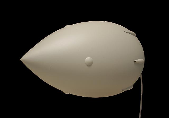 Sisu 24