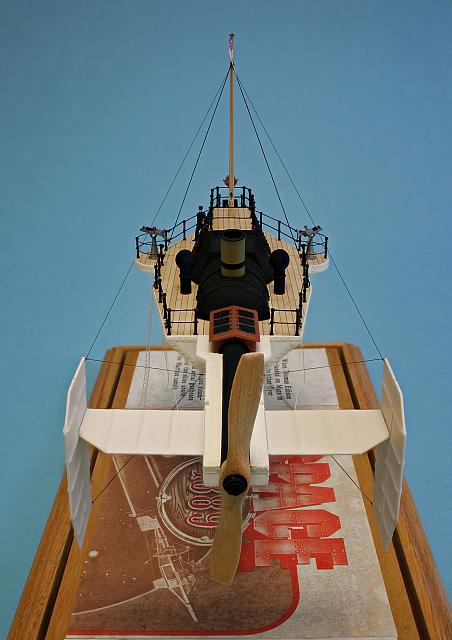 Wasp 03