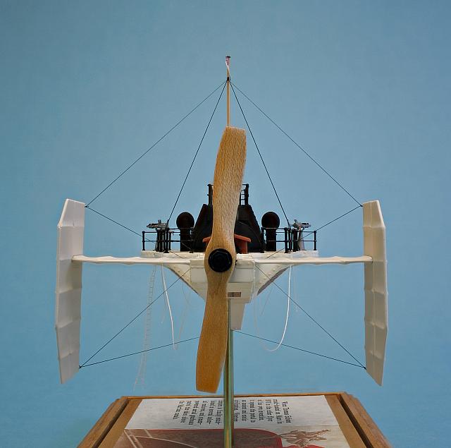 Wasp 10