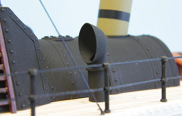 Wasp 31