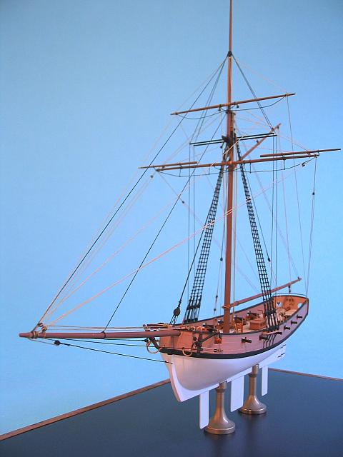 x Kestrel 19