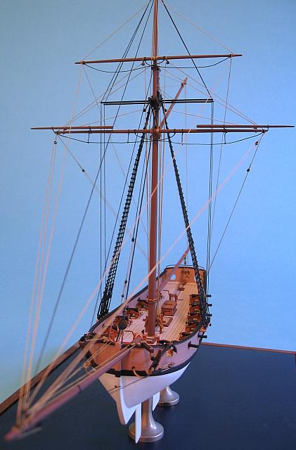 x Kestrel 41