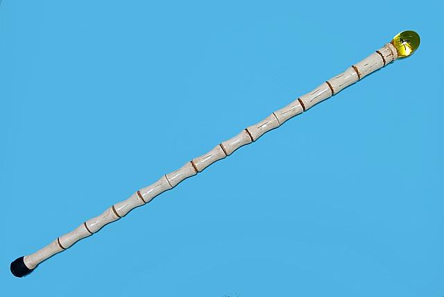 cane 02
