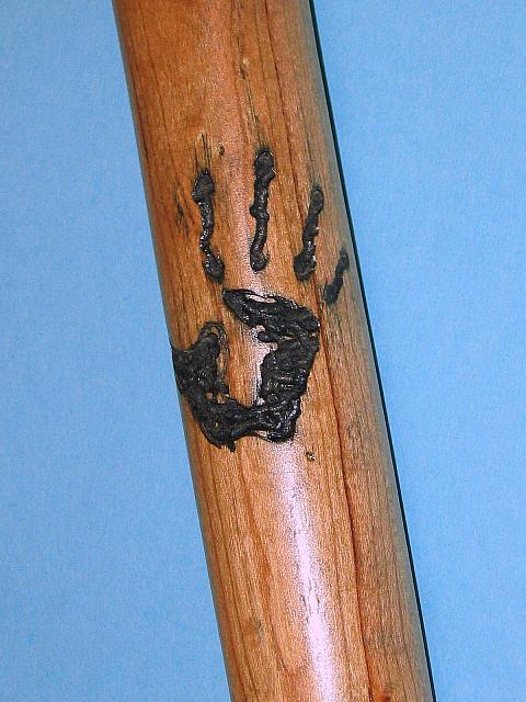 staff 10