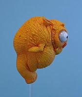 Babelfish 02