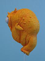 Babelfish 07