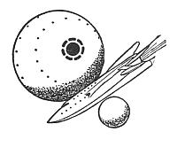 between-planets