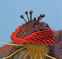 Sir Isaac model 07