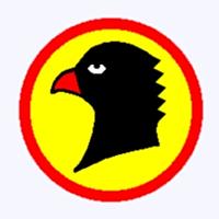 Blackhawk PZL P.50a Jastrzab