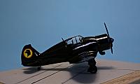Blackhawk PZL-P 50a 09