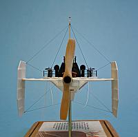Wasp 10