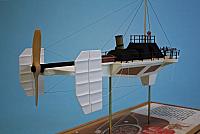 Wasp 13