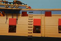 Gorgon 49