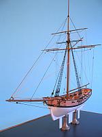 x Kestrel 19