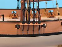 x Kestrel 34