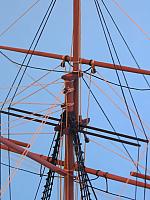 x Kestrel 37