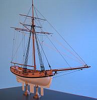 x Kestrel 39