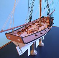 x Kestrel 43