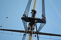 Nonsuch 29