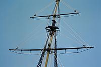 Nonsuch 30