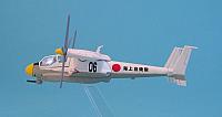 Umidori 11