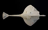 Destroyer 41