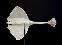 Destroyer 42