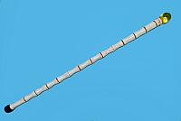cane 02