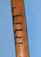 staff 09
